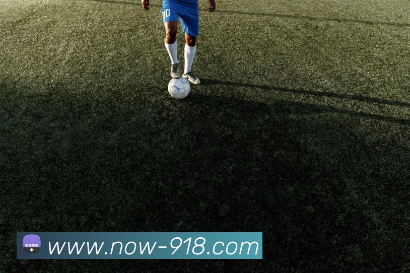 博天堂发展历程